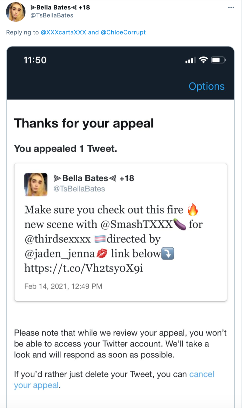 Screenshot featuring a tweet by Bella Bates advertising porn content and a message from Twitter acknowledging they're reviewing her ban appeal