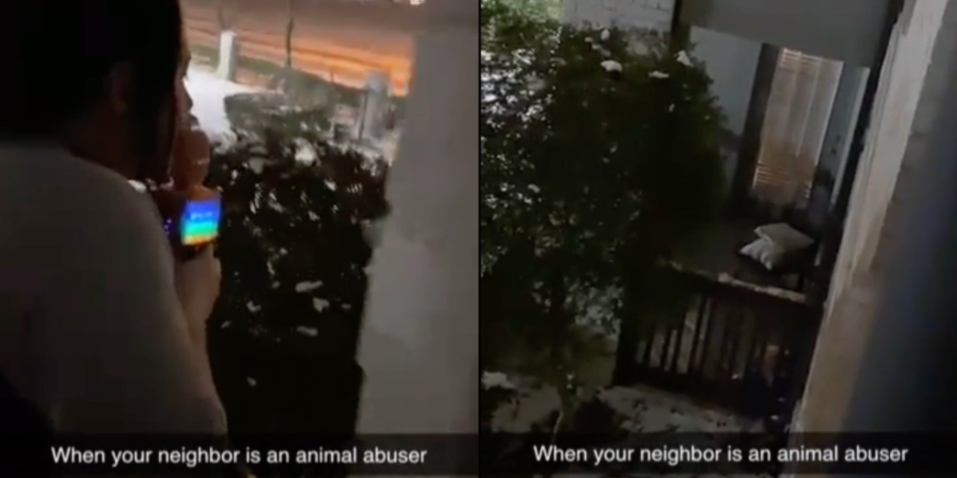 TikToker tells neighbor to bring her fucking dog inside during winter storm