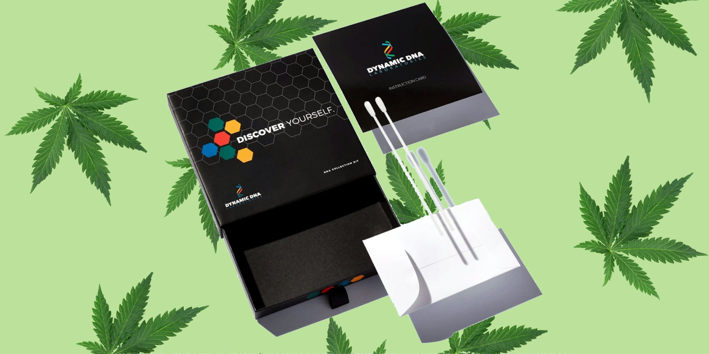 At-home cannabis DNA test on a green, weed-leaf pattern background