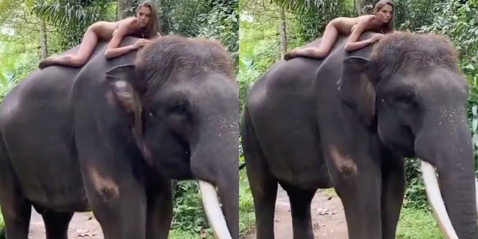 instagram-influencer-slammed-for-nude-photo-endangered-elephant