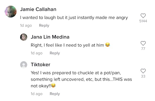 Jamie Callahan: I wanted to laugh but it instantly just made me angry. Jana Lin Medina: Right, I feel like I need to yell at him. TikTokers: Yes! I was prepared to chuckle at a pot/pan, something left uncovered etc but this... THIS was not OK!!  