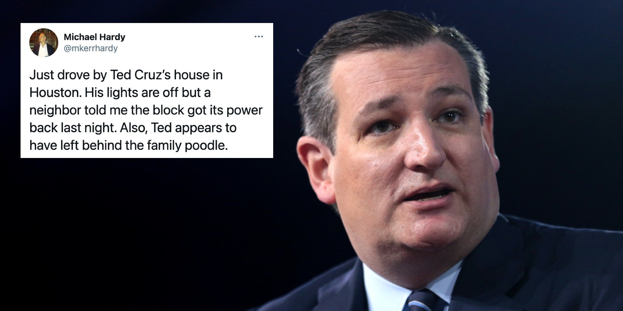 Sen. Ted Cruz (R-Tx.) next to a tweet