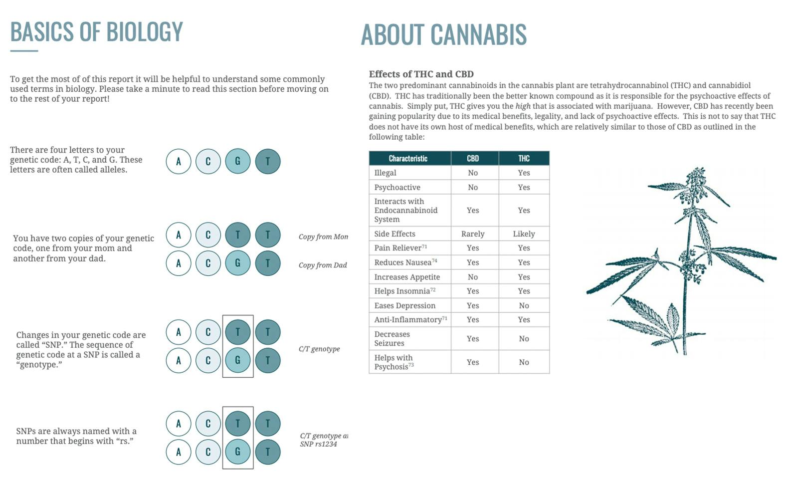 Dynamic DNA Laboratories' explanation of using and understanding pharmacogenetics as it relates to cannabis products.