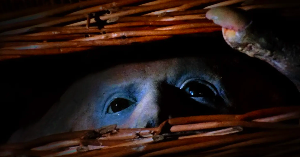 whats new on shudder basket case