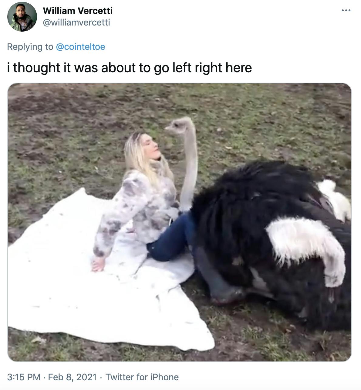 'i thought it was about to go left right here' still from the video showing the ostrich settling between her legs