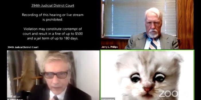 A Zoom call that includes a digital cat