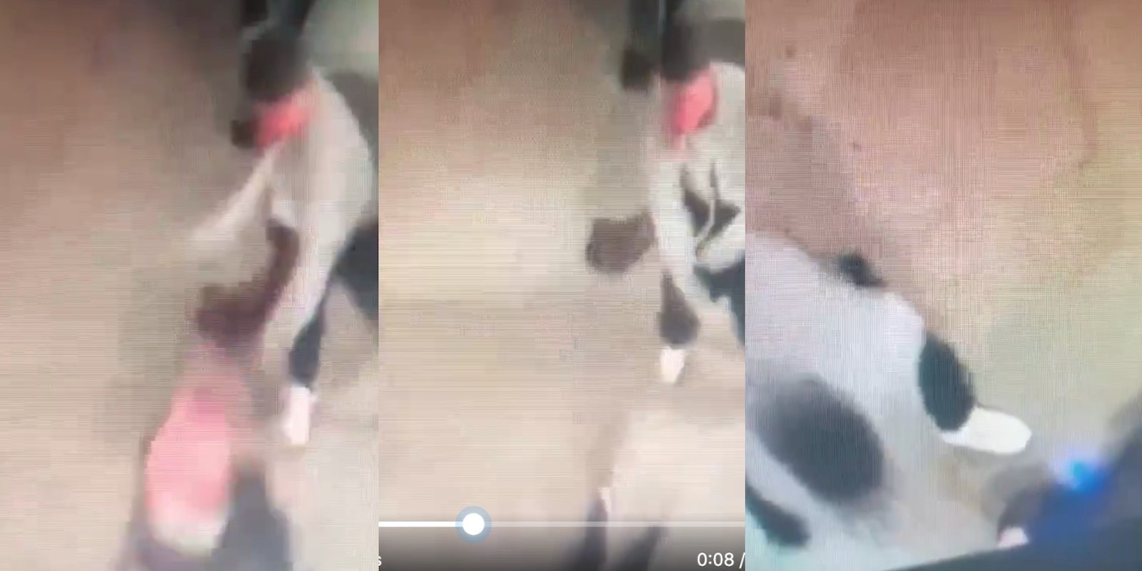 Footage shows attacker hitting a 56-year-old man at a NYC subway station