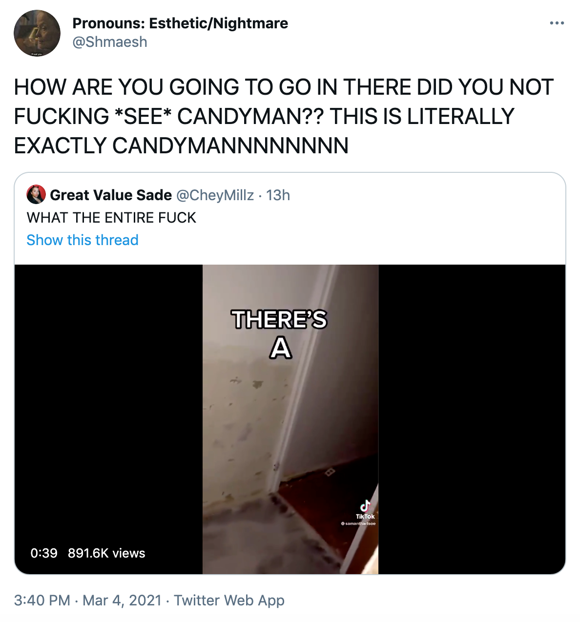 HOW ARE YOU GOING TO GO IN THERE DID YOU NOT FUCKING *SEE* CANDYMAN?? THIS IS LITERALLY EXACTLY CANDYMANNNNNNNN