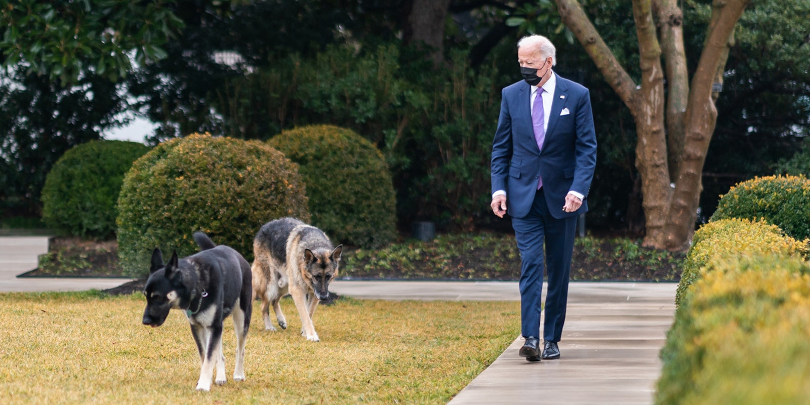 President Joe Biden walks with his dogs Major and Champ in the Rose Garden of the White House