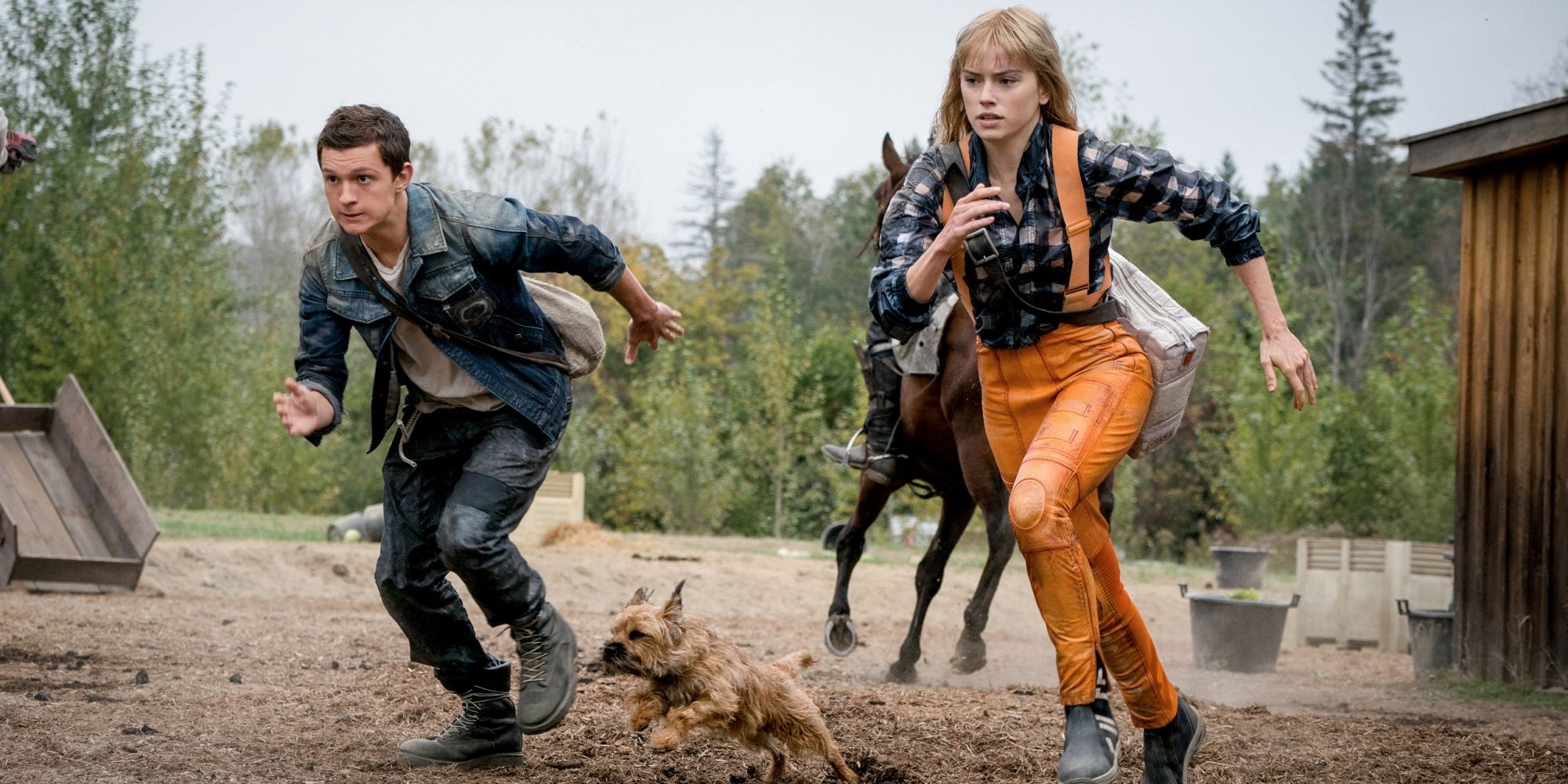 Sci-fi Thriller 'Chaos Walking' Struggles With its High ...
