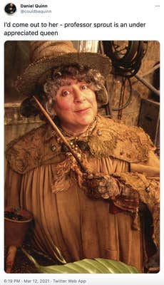 "I’d come out to her - professor sprout is an under appreciated queen" A white woman in brown witches garb, holding a wand and making a humorous face