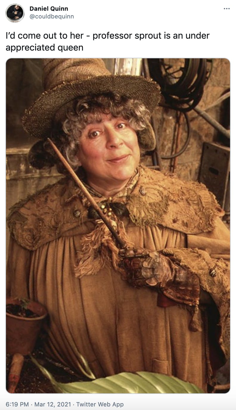 'I’d come out to her - professor sprout is an under appreciated queen' A white woman in brown witches garb, holding a wand and making a humorous face