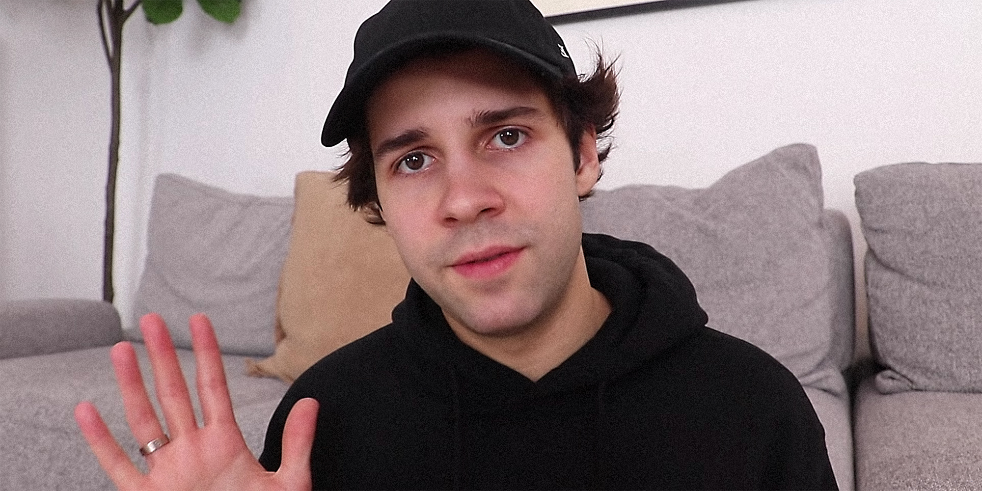 David Dobrik Nude