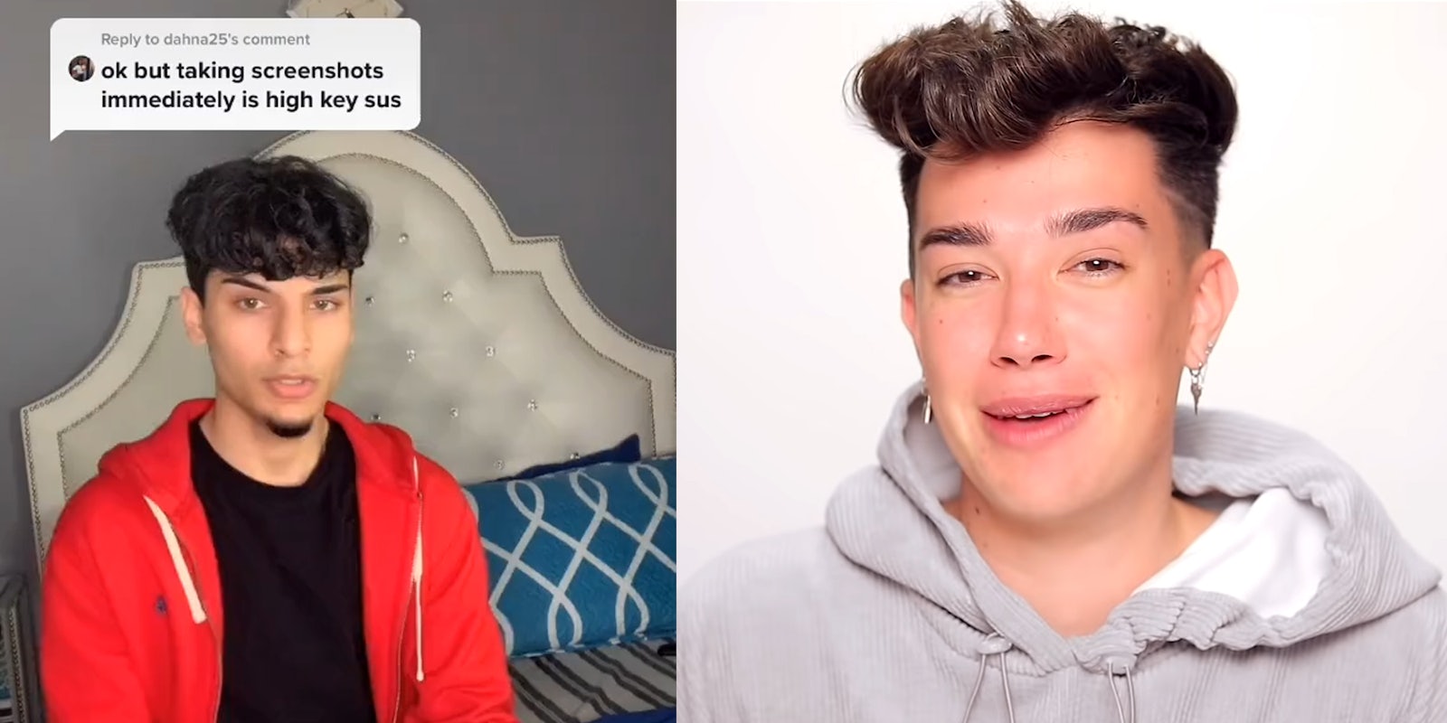 man in red sweatshirt with 'ok but taking screenshots immediately is high key sus' speech bubble above his head (left) james charles (right)