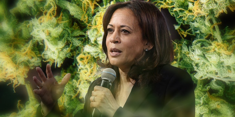 kamala harris with microphone in front of pot background