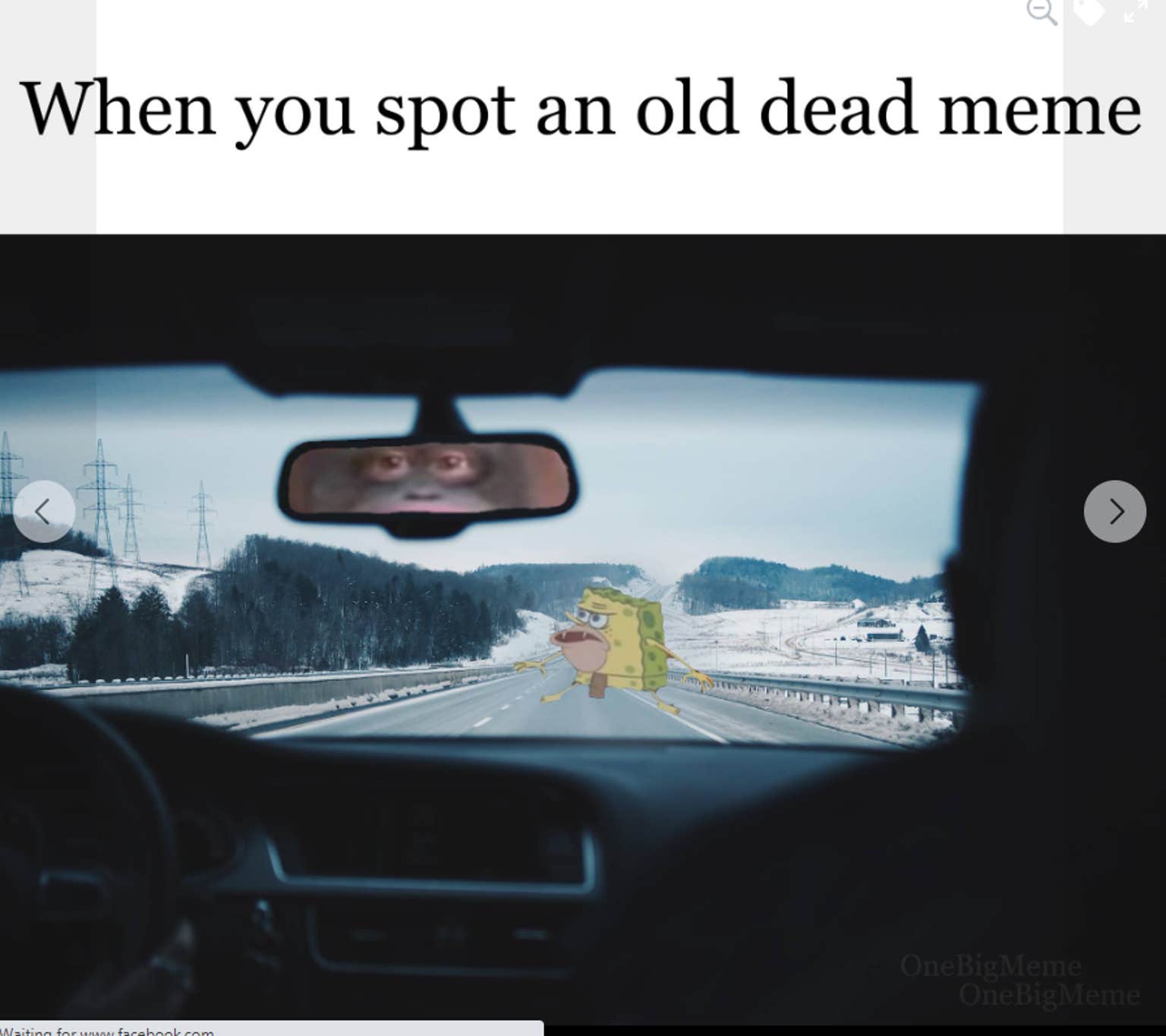 Le Monke Meme: A Classic So Pointless You Can't Help But Love It