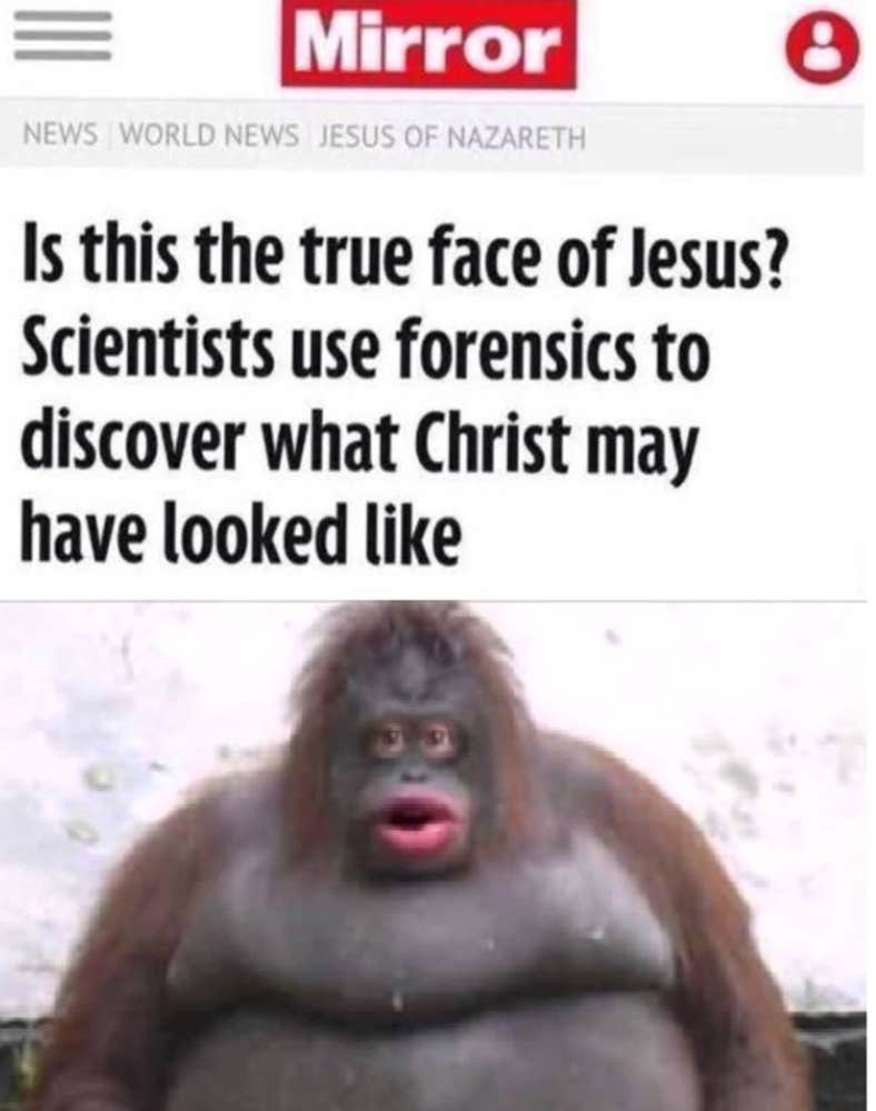 Le Monke Meme A Classic So Pointless You Can't Help But Love It