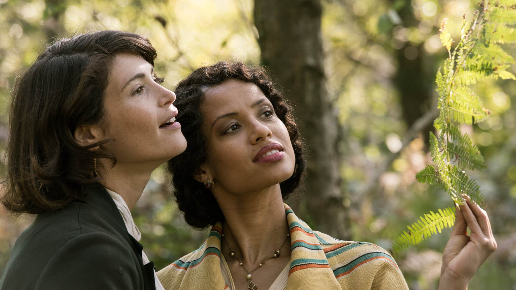 What's New on Showtime Best New Movies and Shows in March 2025