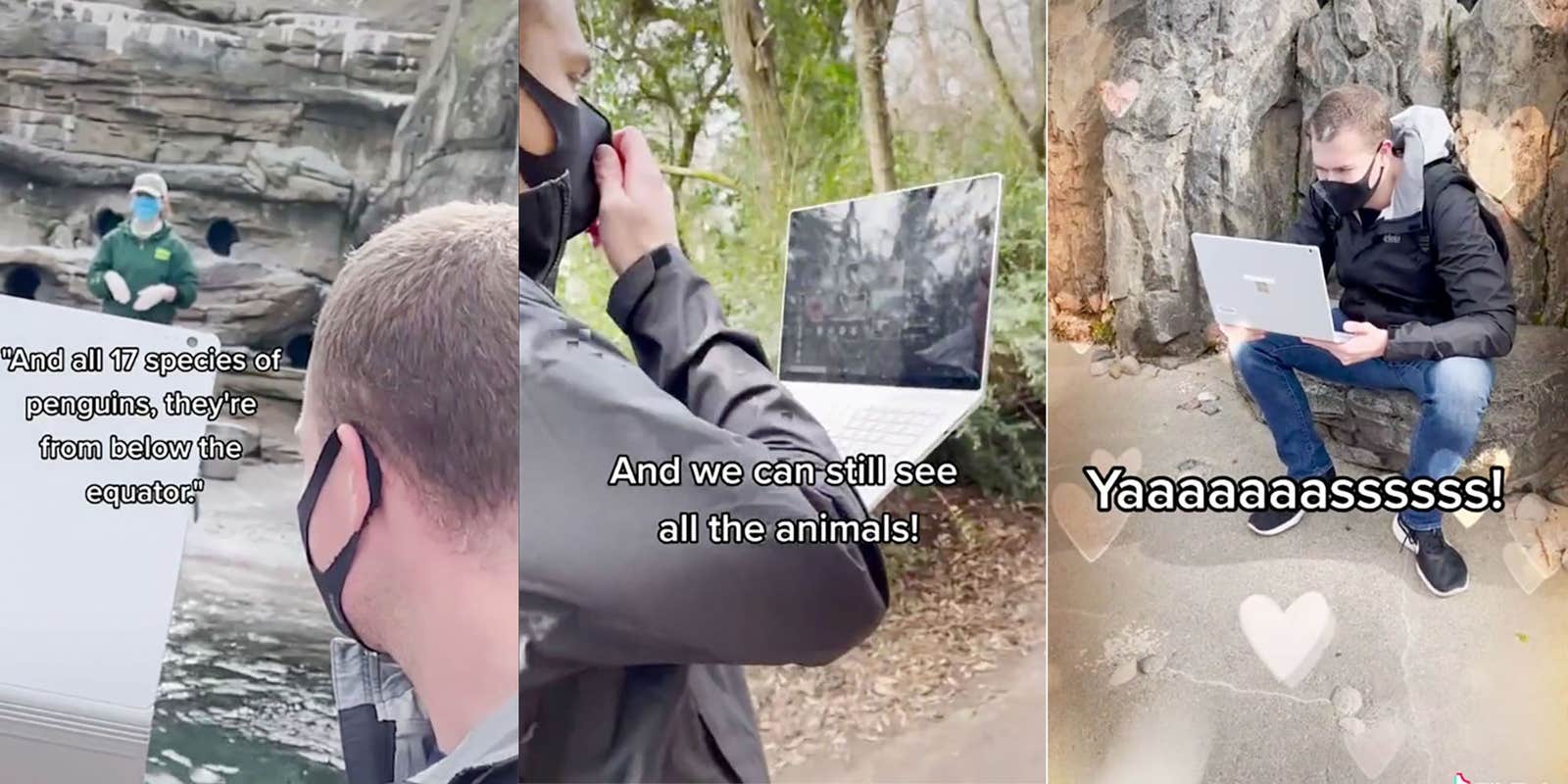 Kindergarten Teacher Takes Kids on Virtual Field Trip to Zoo