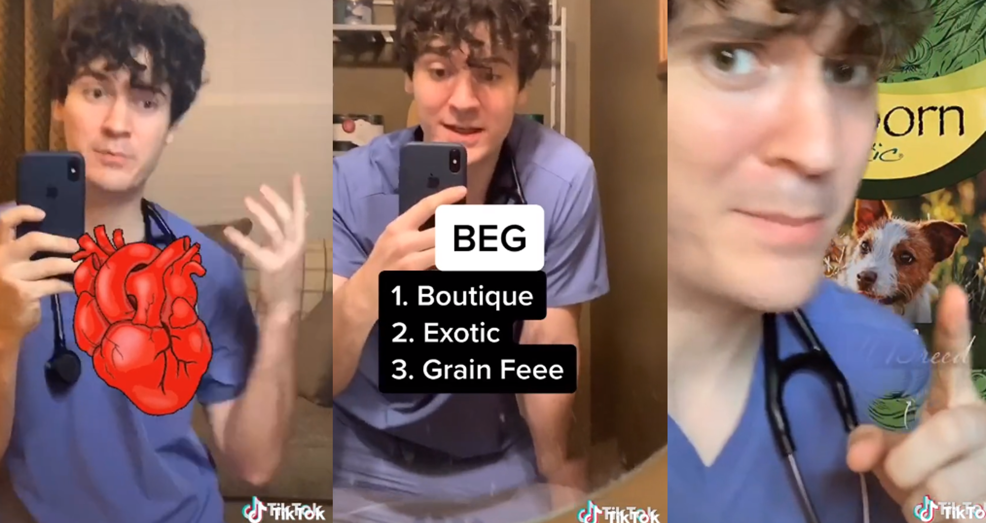 Vet's GrainFree Dog Food Warning on TikTok Freaks Out Pet Owners