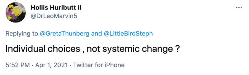 Individual choices , not systemic change ?