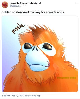 "golden snub-nosed monkey for some friends" cartoon drawing of the monkey with orange fur and exaggerated features