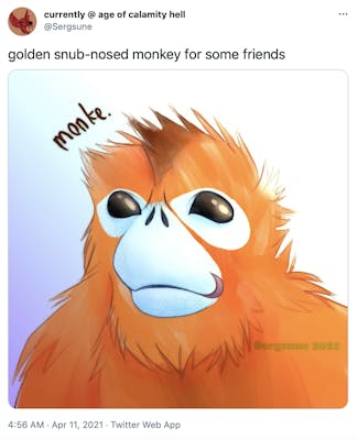 "golden snub-nosed monkey for some friends" cartoon drawing of the monkey with orange fur and exaggerated features