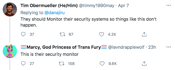 lizard climbing up shelf