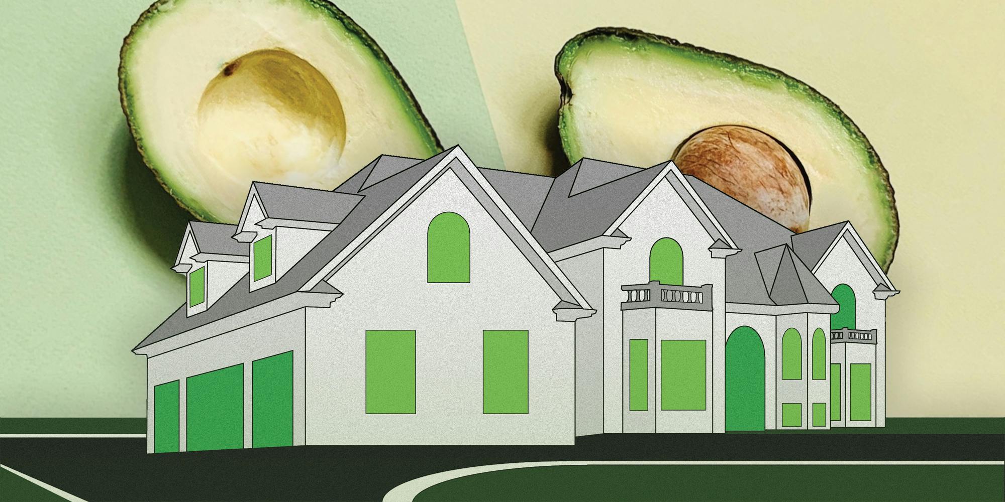 An illustration of a house with avocados.