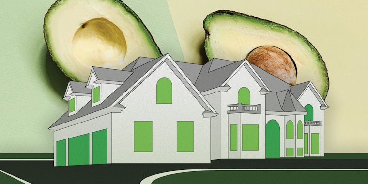 An illustration of a house with avocados.