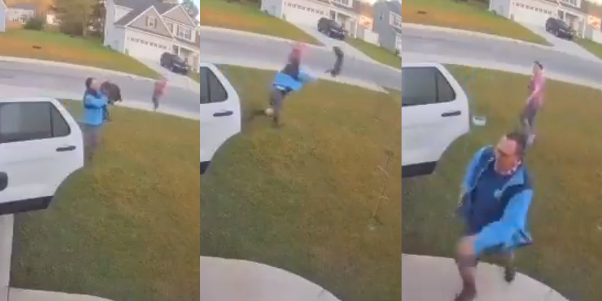 Video Man ‘Yeets’ Rabid Bobcat Across Yard After It Attacks His Wife