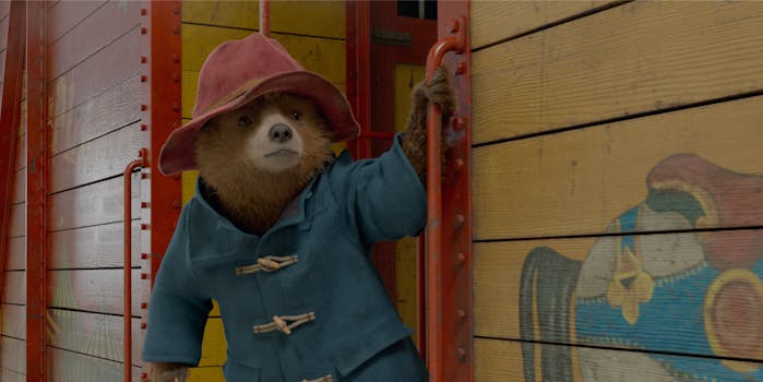 bear in blue coat and red hat holding train handlebar
