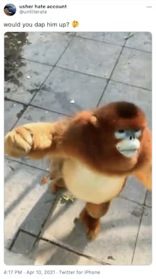 "would you dap him up? 🤔" still of the gold and brown furred monkey with his arm raised like he's wanting to dap