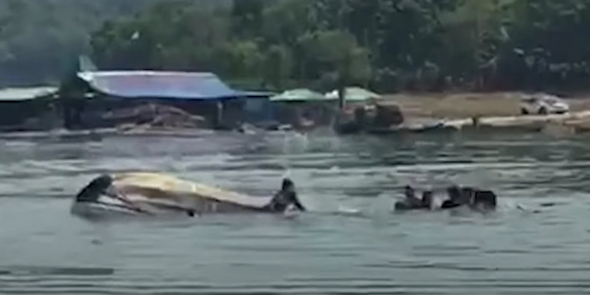 9 dead after trying to take selfie on boat