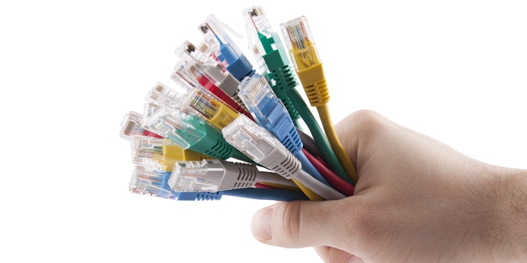 A person holding a group of ethernet wires.