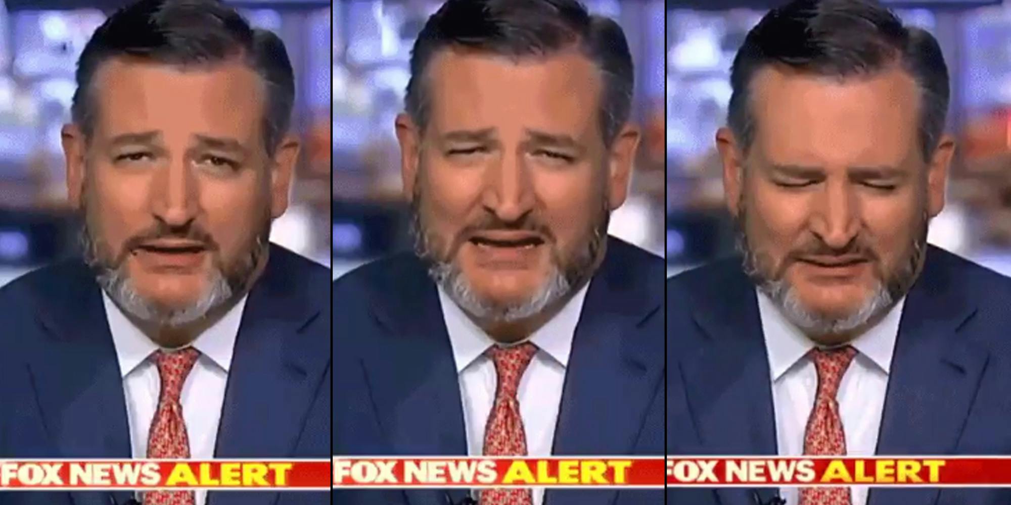 Three screenshots from a fake video showing Ted Cruz eating a fly during a Fox News interview.