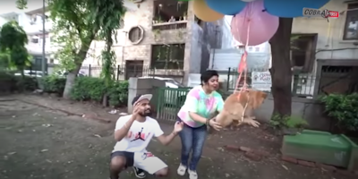 Delhi-based YouTuber Gaurav Sharma and his mom flying their dog by tying several balloons to the dog's waist