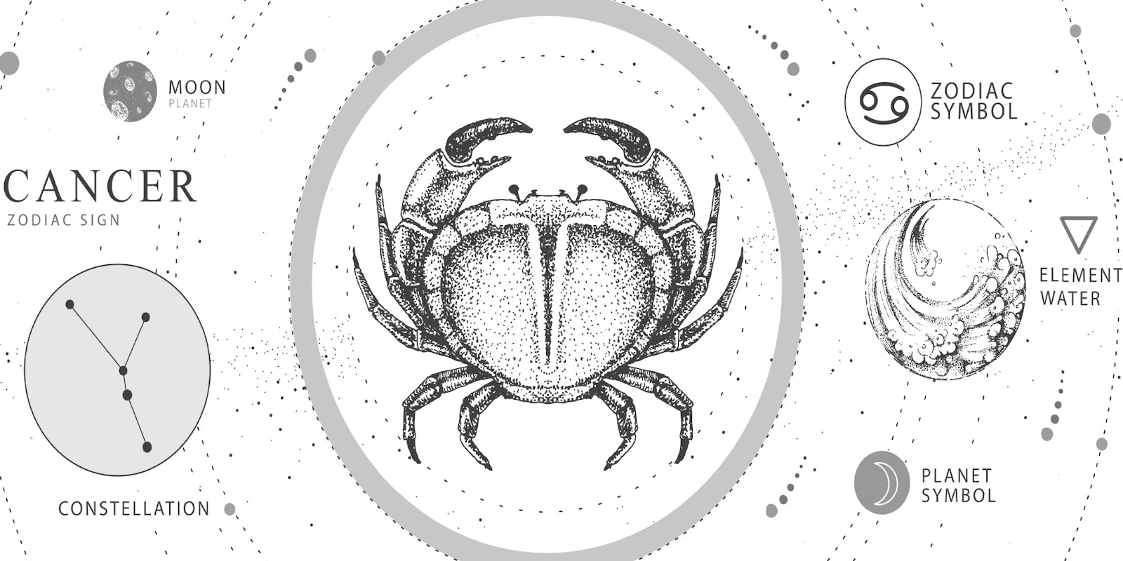 Cancer zodiac sign symbols and preliminary astrology info. Illustration of a crab sits in the center of the image with the constellation and zodiac symbols placed on the outer edges.