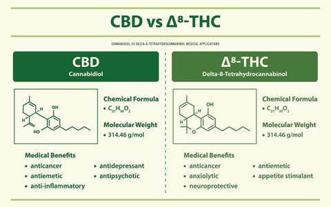 CBD vs Delta-8 THC
