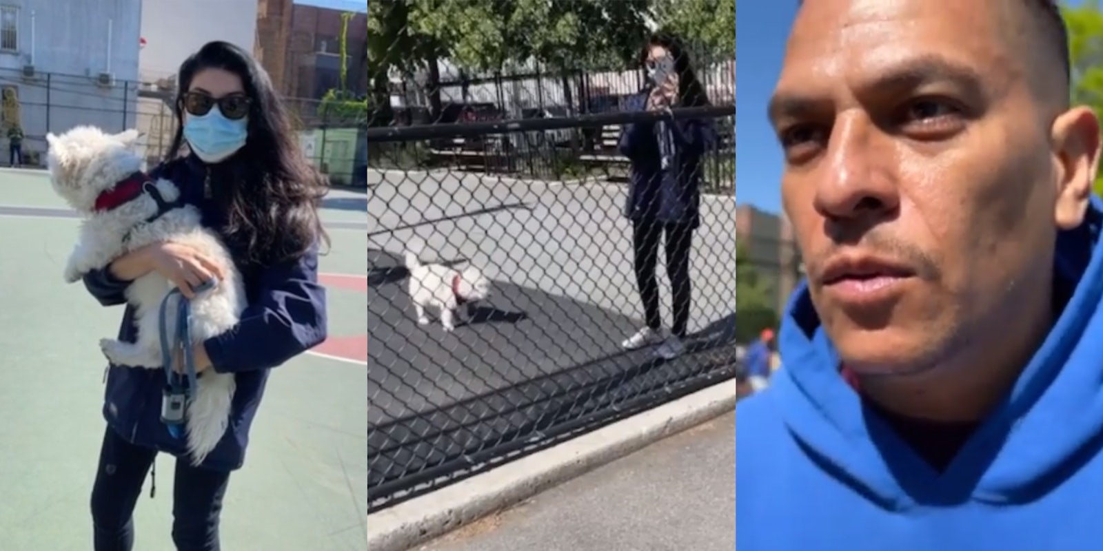 woman holding dog off leash (l) woman taking video through a fence with dog off leash (c) upset man in blue hoodie approaches (r)
