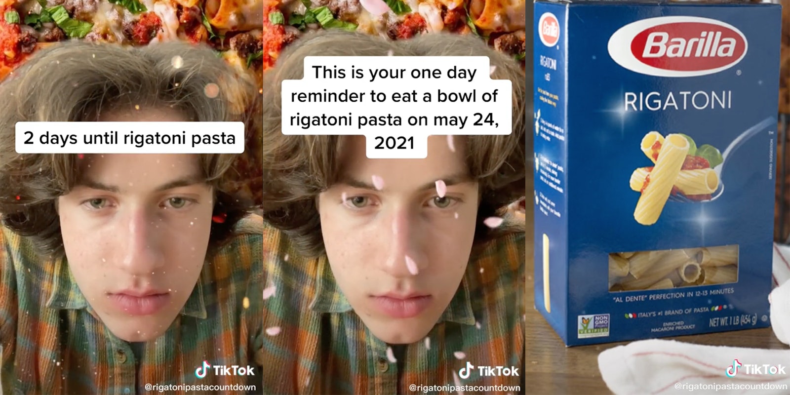 Screenshots from a countdown of one user on TikTok celebrating Rigatoni Day.