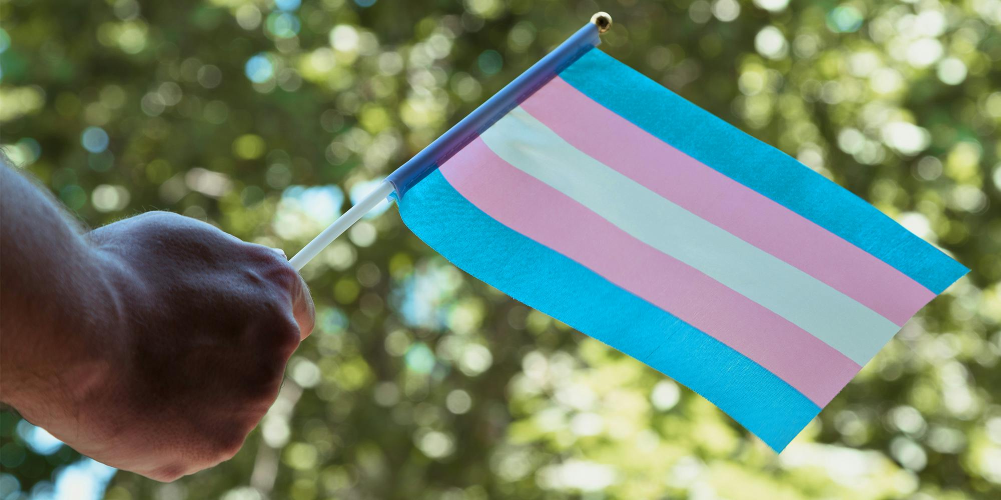 Hand with a trans small flag