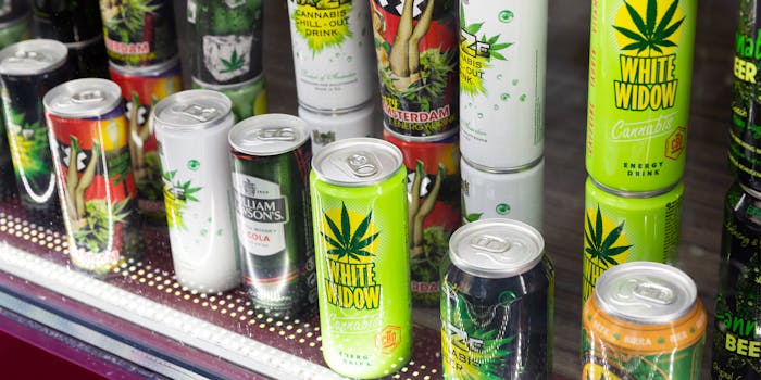 Cannabis drinks, thc drinks, cbd drinks, and weed drinks sit behind a glass door of a refrigerator