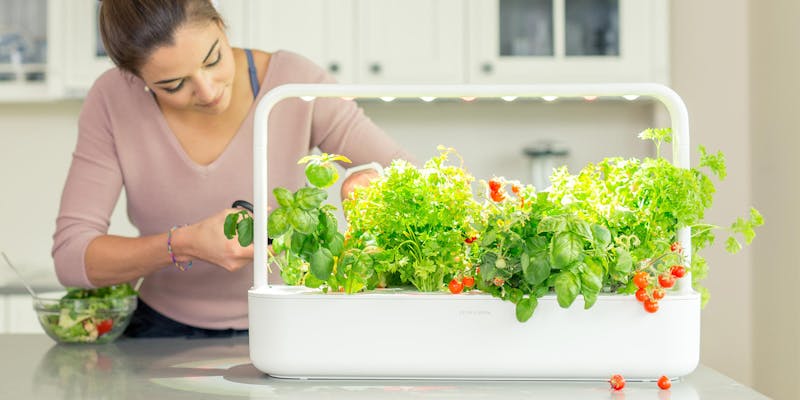 click and grow smart garden