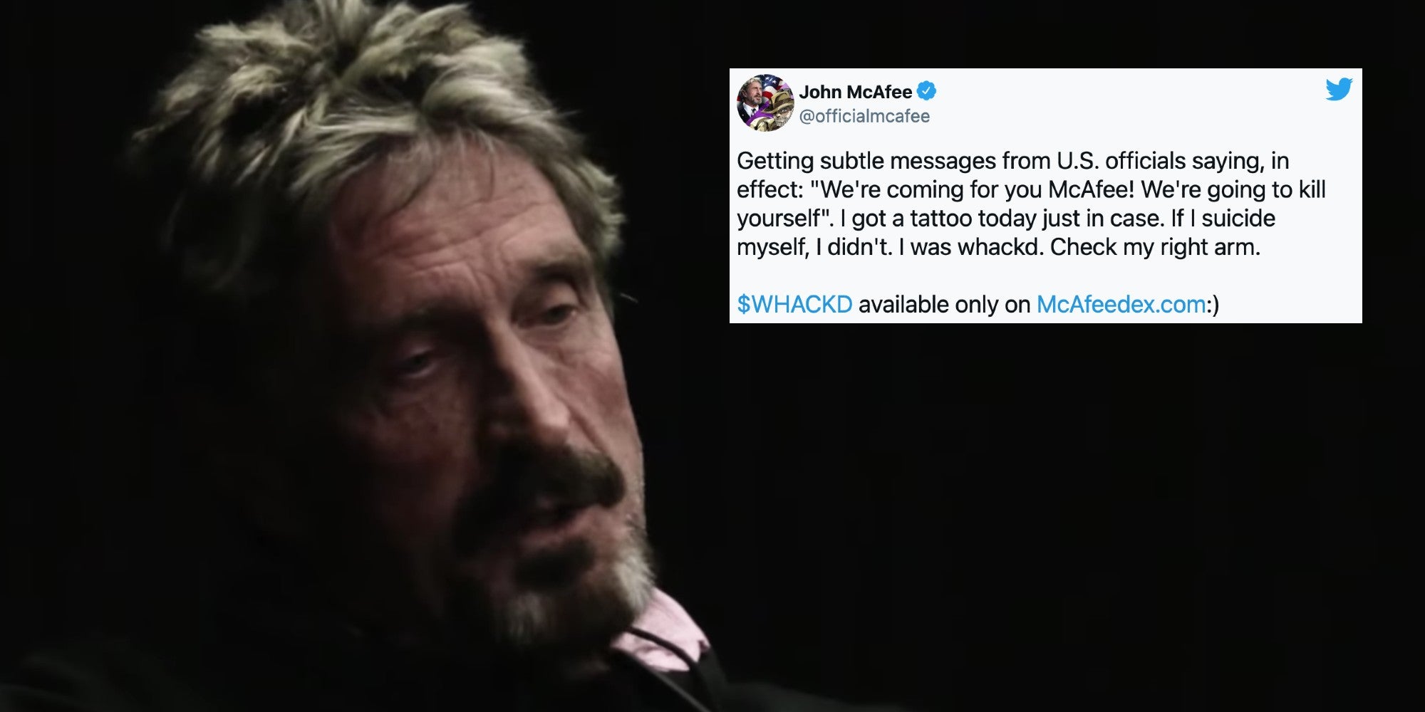 john mcafee next to a tweet