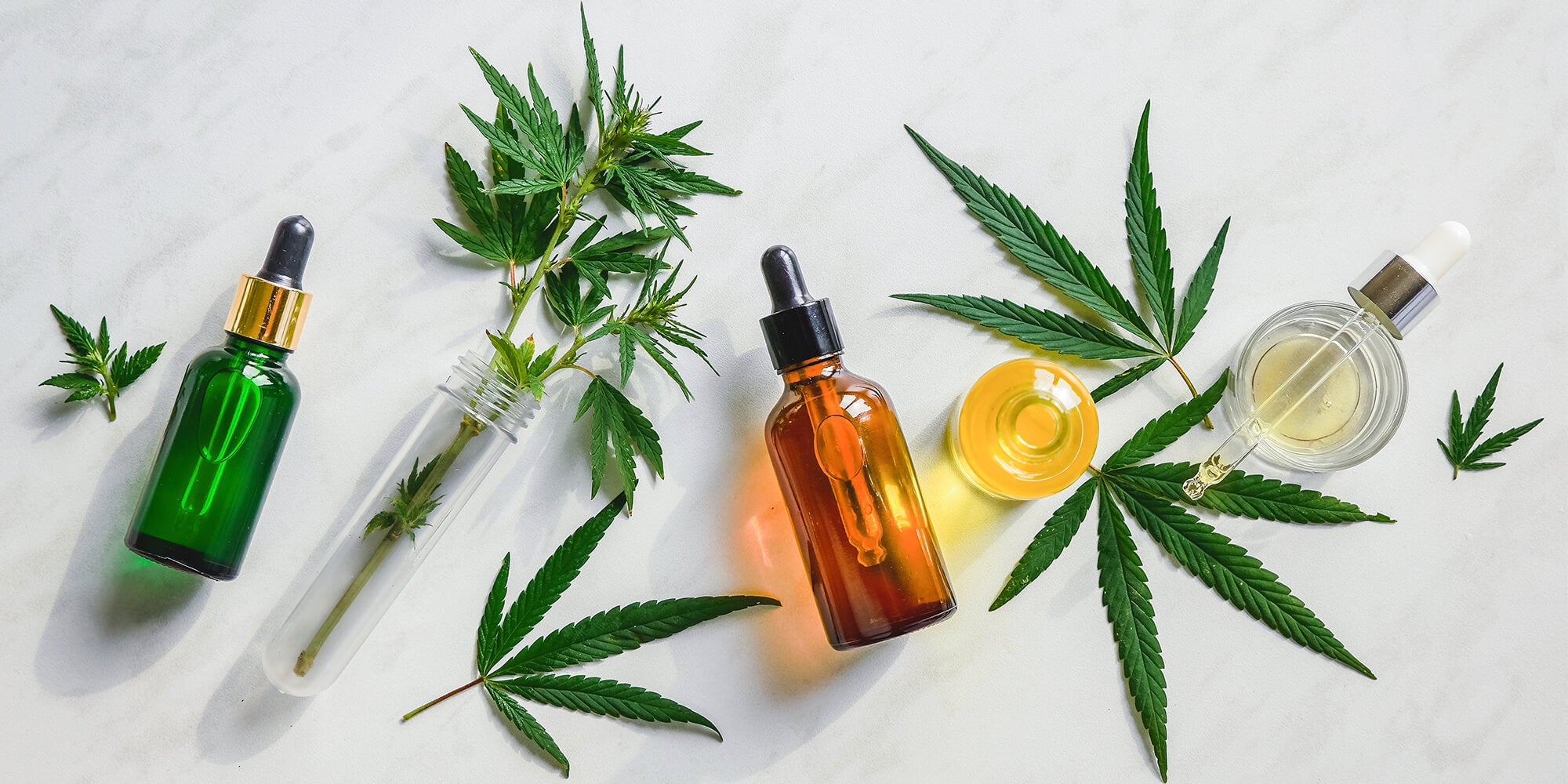 cbd oils