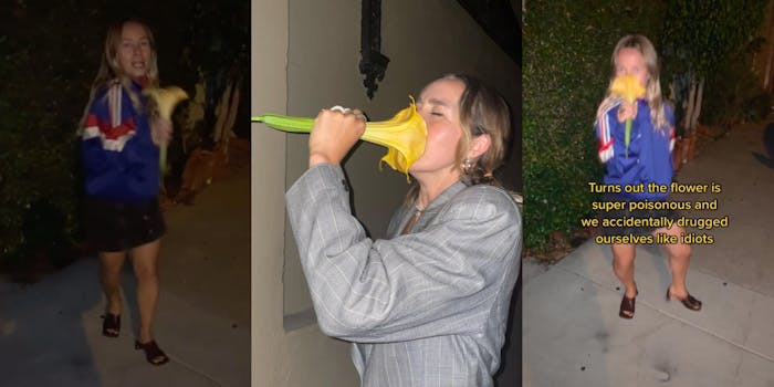 TikToker Accidentally Drugs Herself With Angel&#39;s Trumpet, A Toxic Flower