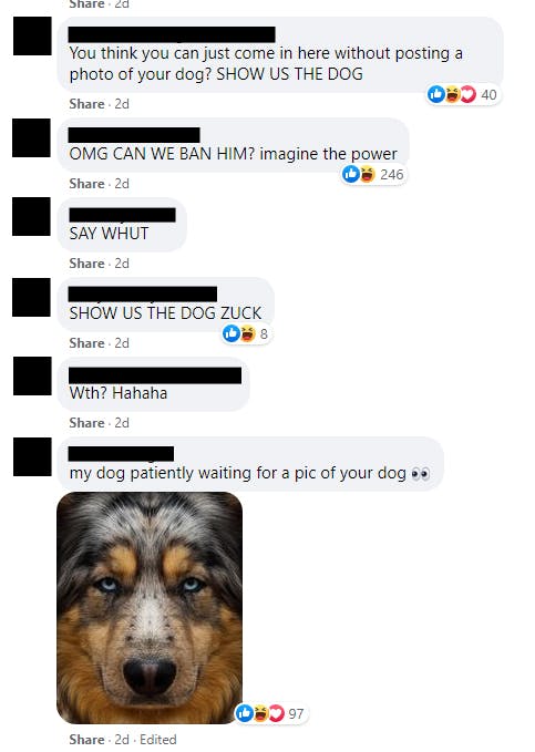A series of redacted comments of people commenting on a post by Mark Zuckerberg in a dog specific Facebook group