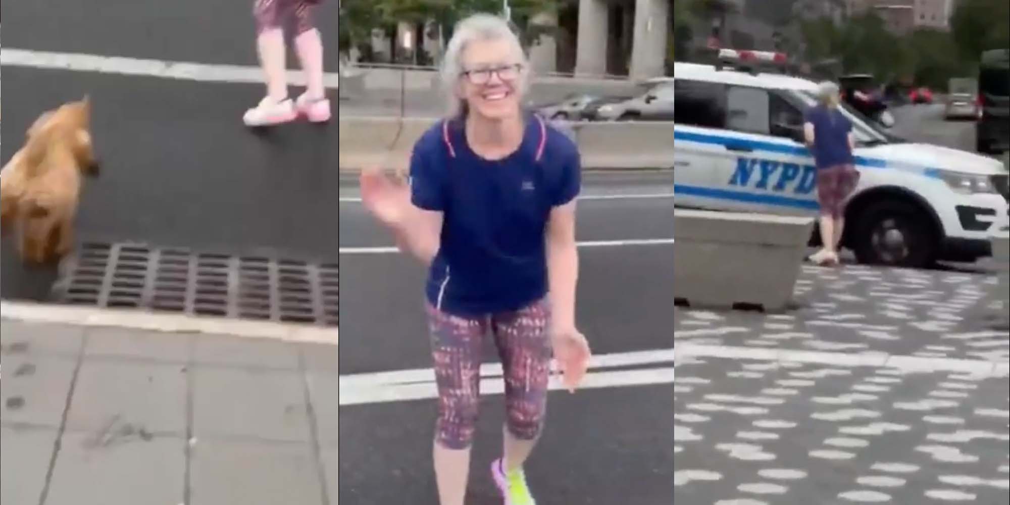 Video 'Karen' Tries to Lure Unleashed Dog onto Highway