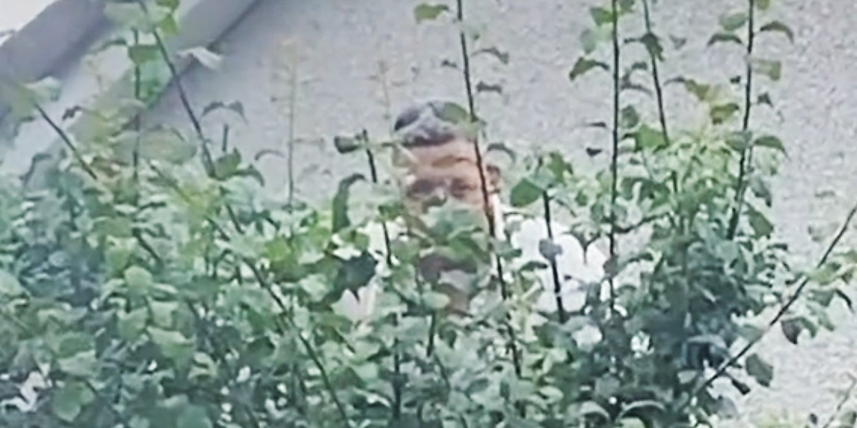 A man lurking behind a tree.